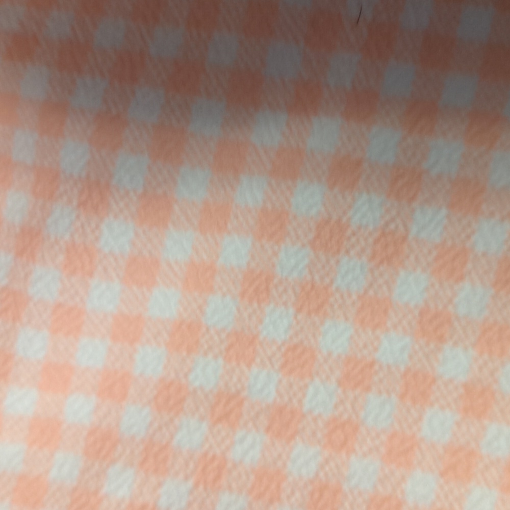 2 for $20 Never worn pink and white checkered miniskirt - Picture 3 of 3